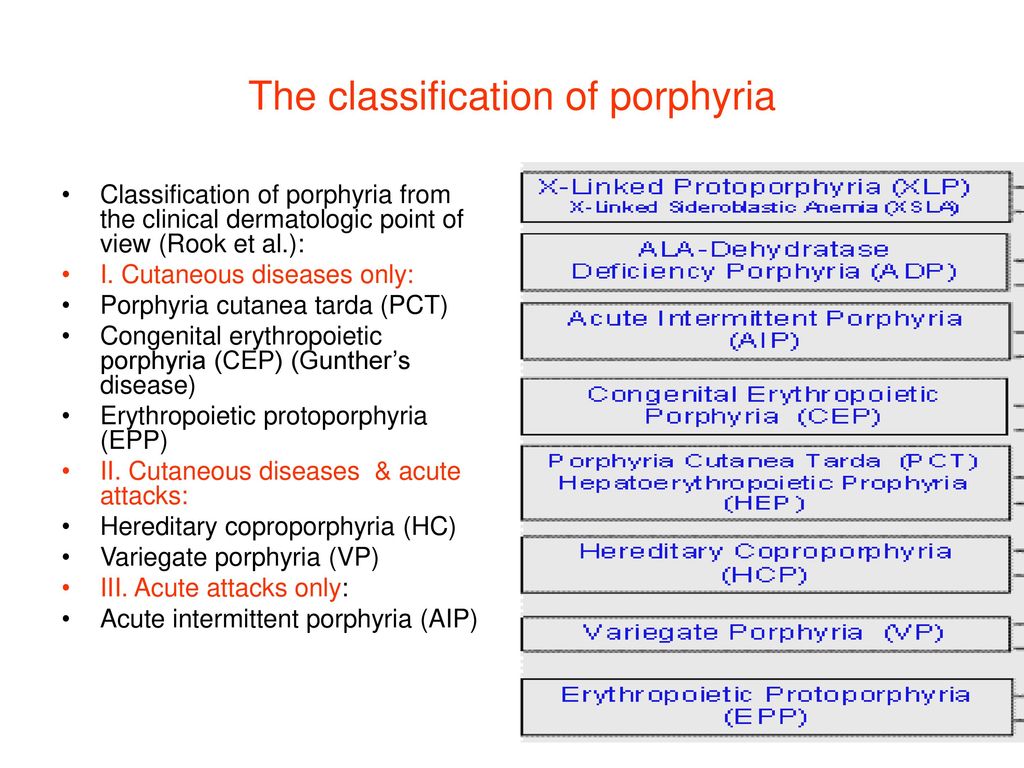 porphyrias lover in bengali